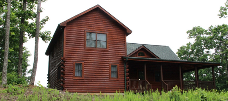Professional Log Home Borate Application  Grayson County, Virginia